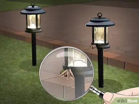 Image titled Watch Insects Step 11