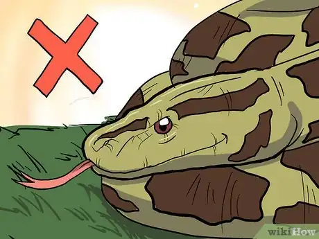 Image titled Choose Your First Pet Snake Step 5