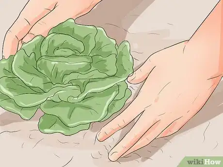 Image titled Be Greener Step 16