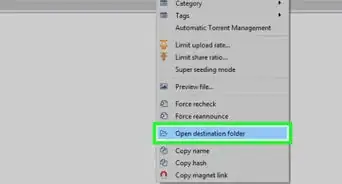 Download and Open Torrent Files