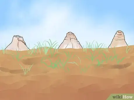 Image titled Plant Bulbs in Grass Step 16