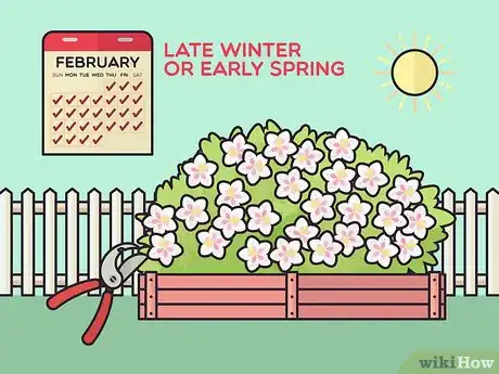 Image titled Grow Weigela Step 10