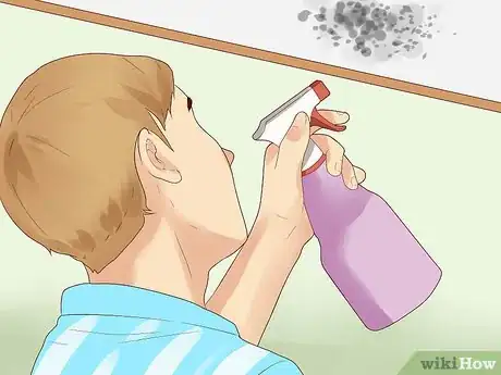 Image titled Remove Ceiling Mold Step 18