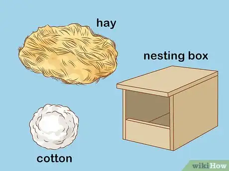 Image titled Breed Silver Quail Step 6