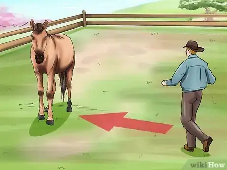 Image titled Get a Head Shy Horse To Trust You Step 3