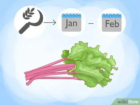 Image titled Buy Rhubarb Step 1