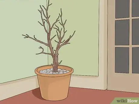 Image titled Make a Jesse Tree Step 15