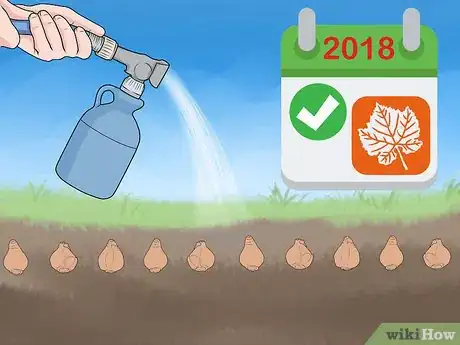 Image titled Plant Bulbs in Grass Step 21