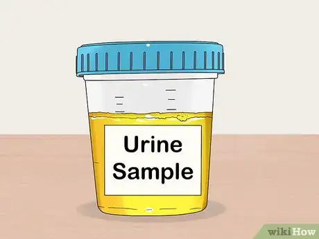 Image titled Check Estrogen Levels Step 5