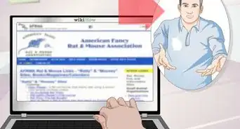 Train a Hamster or a Mouse to Walk on a Tightrope