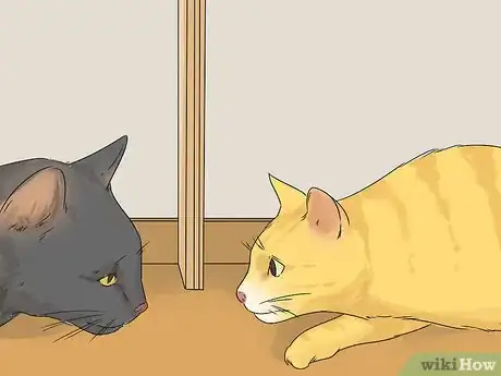 Image titled Prevent Fights Between Cats Step 14