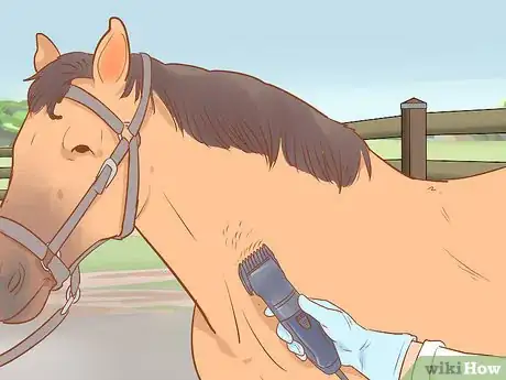 Image titled Draw a Horse's Blood Step 3