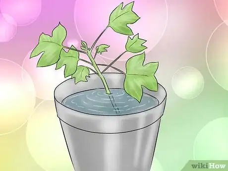 Image titled Plant a Tulip Poplar Tree Step 7