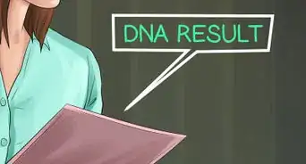 Identify a Field Spaniel