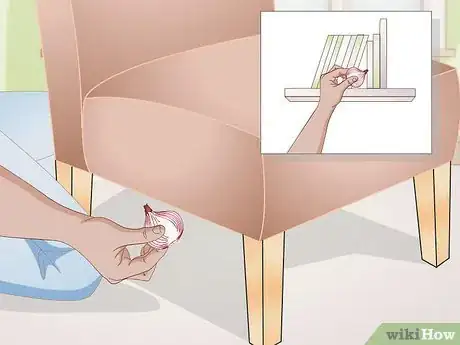 Image titled Use an Onion to Deodorize a Cat Litter Box Step 7