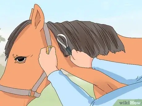 Image titled Pull a Horse's Mane Step 15