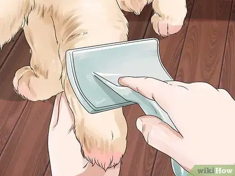 Image titled Brush a Long Haired Dog Step 9