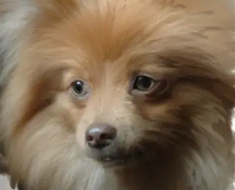 Image titled Intermediate layer with reference split.png