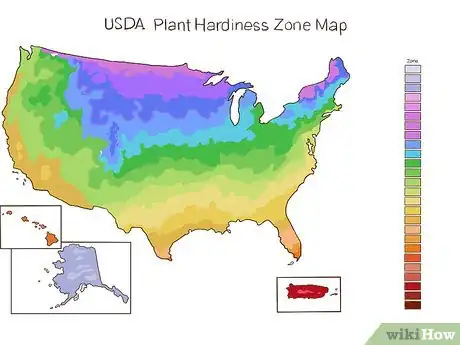 Image titled Start a Vegetable Garden Step 1
