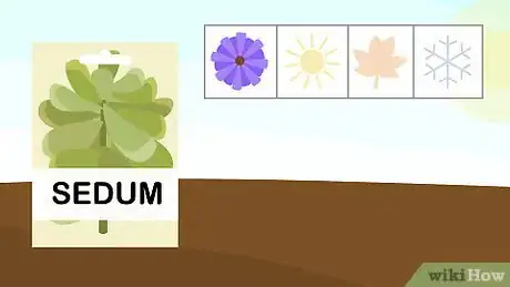 Image titled Plant Sedum Step 4