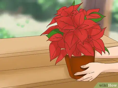 Image titled Survive the Holidays with Your Dog Step 8