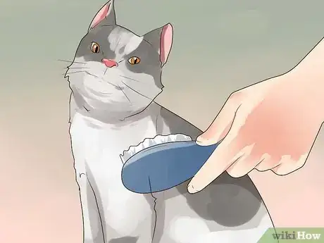 Image titled Prevent Cat Hairballs Step 4