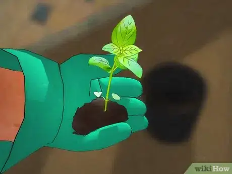 Image titled Grow an Indoor Herb Garden Step 12