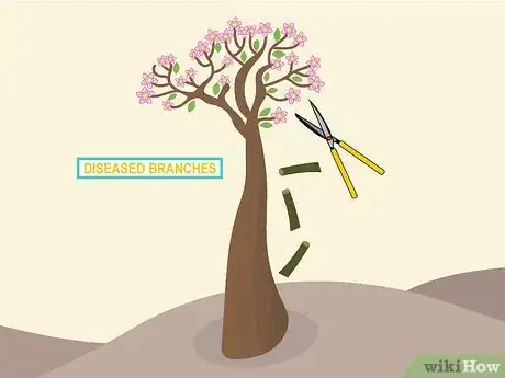 Image titled Prune Desert Rose Step 09