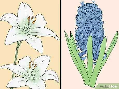 Image titled Plant Bulbs in Grass Step 7