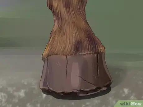 Image titled Know if Your Horse Needs Shoes Step 8