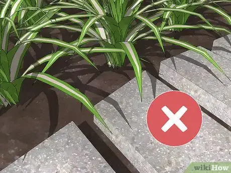Image titled Design an Exotic Garden Step 21