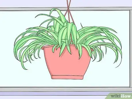 Image titled Add Natural Elements to Your Home Decor Step 10