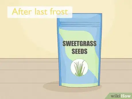 Image titled Grow Sweetgrass Step 12