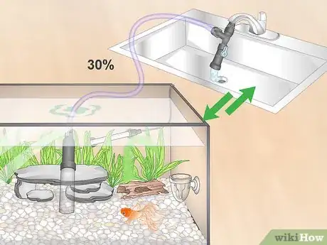 Image titled Set up a Planted Goldfish Aquarium Step 19