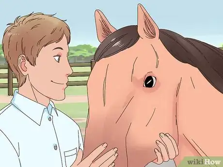Image titled Teach a Horse to Bow Properly Step 1