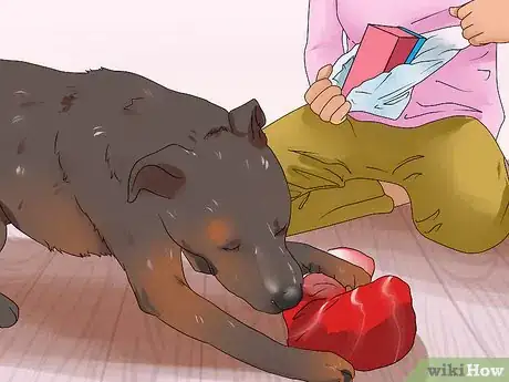 Image titled Fill a Dog's Stocking for Christmas Step 14