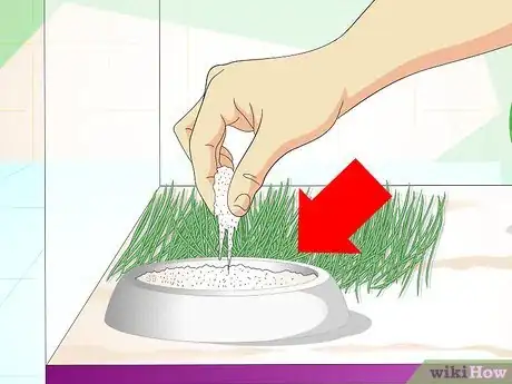 Image titled Set up a Gerbilarium Step 6