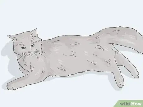 Image titled Help a Cat with Anxiety Step 17