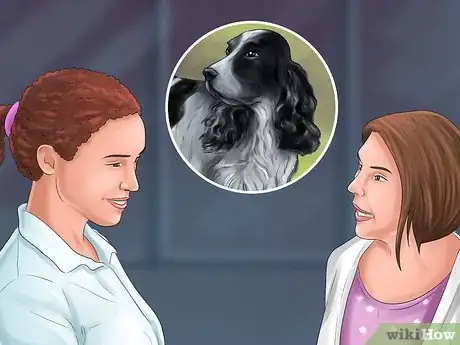 Image titled Identify a Field Spaniel Step 8