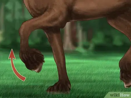 Image titled Teach Your Horse to Piaffe Step 9