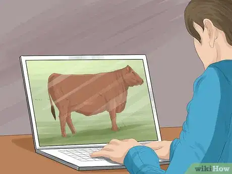 Image titled Identify Shorthorn Cattle Step 8