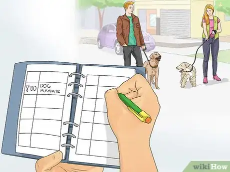 Image titled Exercise Your Dog Step 10