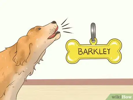 Image titled Find Unique Dog Names Step 9