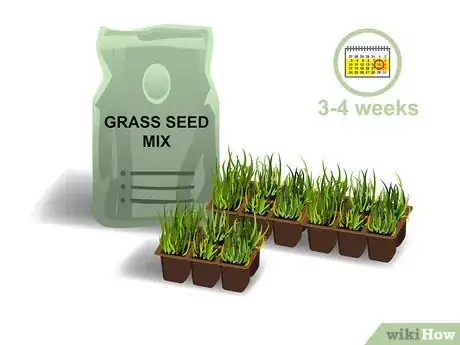 Image titled Grow Centipede Grass Step 01