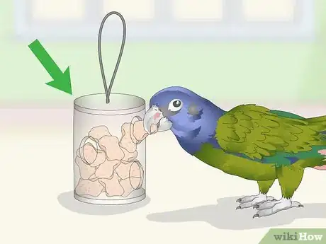 Image titled Keep a Pionus Parrot Entertained Step 1