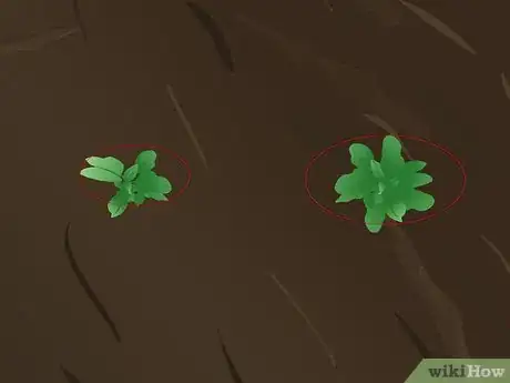 Image titled Seed a Lawn Step 3