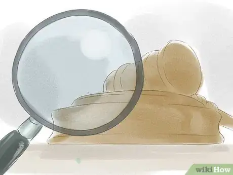 Image titled Do a Criminal Background Check Step 8