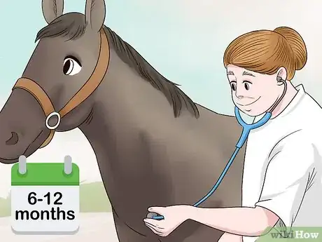 Image titled Care for a Gaited Horse Step 6