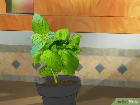 Image titled Grow an Indoor Herb Garden Step 24