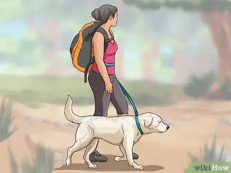 Image titled Exercise Your Dog Step 15